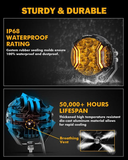 💥Last day special price 41.99💥